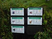 ZOO Len (zoo) - 