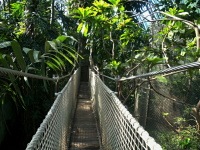 ZOO Len (zoo) - 