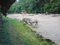 ZOO Len (zoo) - 