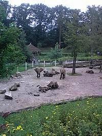 ZOO Len (zoo) - 