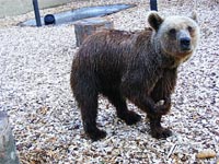 Ambroova soukrom ZOO - Dvorec (zoo) - 