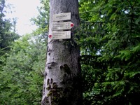 Kuchyka - Brdsk vrchovina (vrchol) - Rozcestnk.