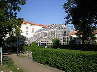 Botanick zahrada - Brno-Veve (botanick zahrada) - Nov sklenky tropickch rostlin