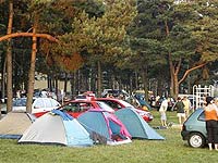 Camp Pláž - Vranovská přehrada (kemp) - 