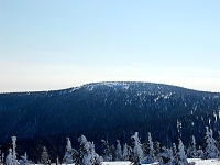 
                        Liščí hora (vrchol)