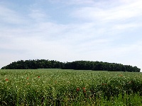 Barboina (vrchol)