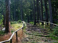Boubn (vrchol) - 