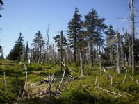 ern hora (vrchol) - Rozcest ped vrcholem-rovn k vrcholu, doprava ke Snnm vikm, dopedu k ertovu odpoinku