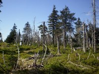 foto ern hora (vrchol)