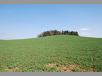 Hjeek (vrchol) - Pohled na vrchol Hjeek
