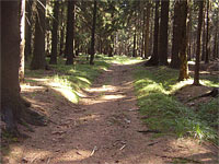 Henzlika (vrchol) - Cesta k vrcholu