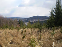 Holeek (vrchol) - Pohled z Holeku ke Zbirohu 
