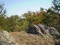 Hol vrch - Kivokltsk vrchovina (vrchol) - 