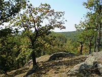 Hol vrch - Kivokltsk vrchovina (vrchol) - 