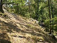 Hol vrch - Kivokltsk vrchovina (vrchol) - 