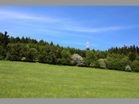 Horn les (vrchol) - Horn les  774 m.n.m.  