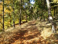 Hradit (vrchol) - Cesta na vrchol