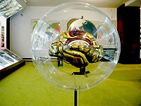 Muzeum Dr. Alee Hrdliky - Humpolec (muzeum) - 