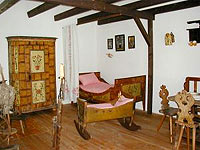Muzeum Dr. Alee Hrdliky - Humpolec (muzeum) - 