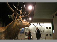 Biskupsk dvr - Brno-msto (muzeum) - 