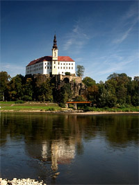 Dn (zmek) - 