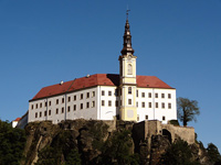 Dn (zmek) - 
