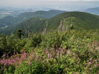 Lys hora (vrchol) - 