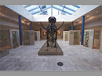 Pavilon Anthropos - Brno (muzeum) - Expozice (foto: muzeum)