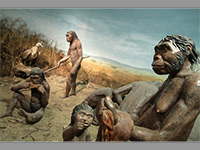 Pavilon Anthropos - Brno (muzeum) - Expozice (foto: muzeum)