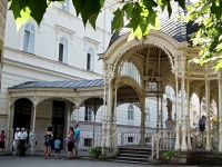 Karlovy Vary (lzn) - 