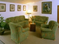 Hotel Safari - Dvr Krlov nad Labem (hotel) - 