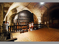 Mikulov (hrad, zmek) - 