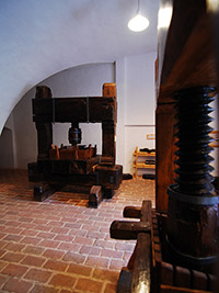 Mikulov (hrad, zmek) - 