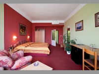 Hotel Slovan - Brno-Veve (hotel) - 