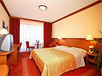 Harmony Club **** - Bedichov (hotel) - 