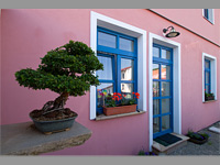 
                        Hotel Bonsai - Mikulov (hotel)