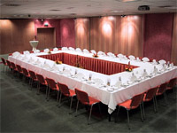 Orea Hotel Voron I - Brno-Pisrky (hotel) - Salnek