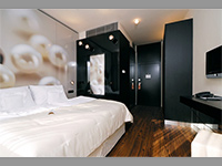 Hotel Perla - Praha 1 (hotel) - Standard Room