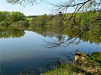 foto Zelenovský rybník (rybník) 