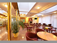Albion Hotel - Praha 5 (hotel) - Lobby bar