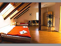Alea Apartments House - Praha 4 (penzion) - Apartmn