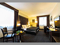 Hotel Selsk Dvr - Praha 10 (hotel) - Pokoj
