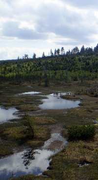 Na ihadle (raelinit) - 