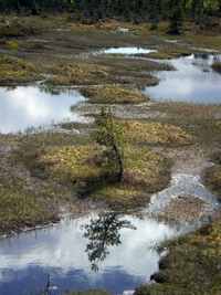 Na ihadle (raelinit) - 