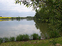 
                        rybník na Vřesůvce - Čehovice (rybník)