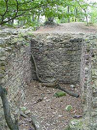 Nov hrad u Kunratic (zcenina hradu) - 