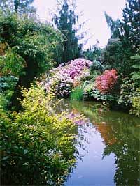 foto Meditan zahrada - Plze Doudlevce (park)