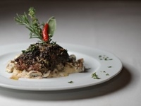 Penzion Star dvr - Nov Dvory (pension, restaurace) - Nabdka jdla