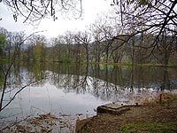 Velk rybnk (rybnk) - 