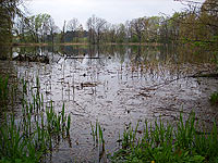 Velk rybnk (rybnk) - 